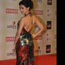 Celebs at 18th Annual Colors Screen Awards